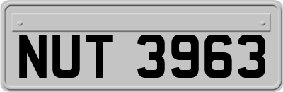 NUT3963