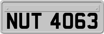 NUT4063