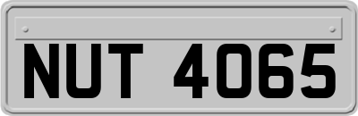 NUT4065