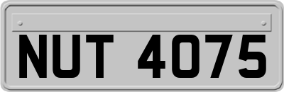 NUT4075