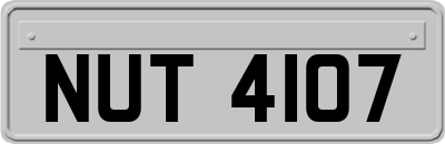 NUT4107