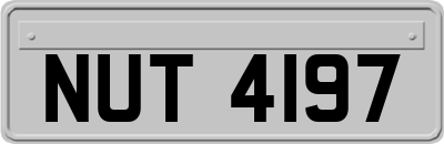 NUT4197