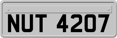 NUT4207
