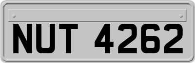 NUT4262