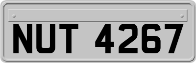 NUT4267