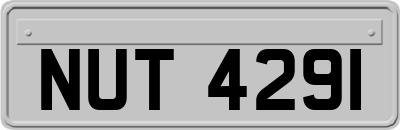 NUT4291