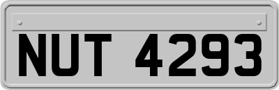 NUT4293