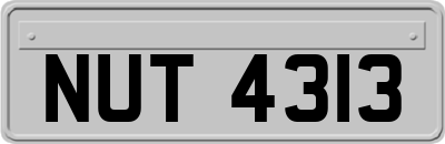 NUT4313