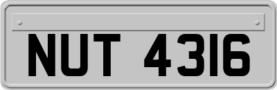 NUT4316