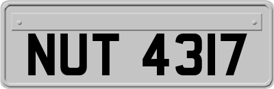 NUT4317
