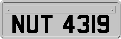 NUT4319