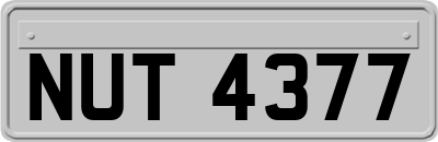 NUT4377