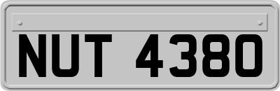 NUT4380