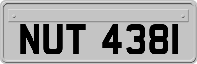 NUT4381
