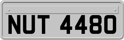 NUT4480