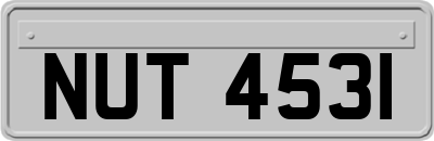NUT4531