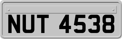 NUT4538