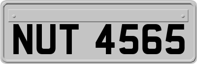 NUT4565