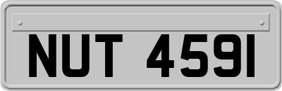 NUT4591