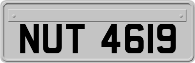 NUT4619