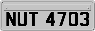 NUT4703