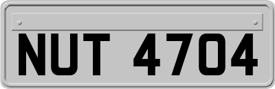 NUT4704