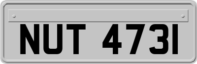NUT4731