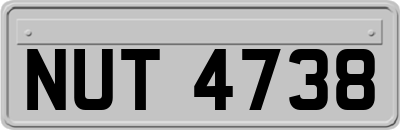NUT4738