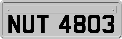 NUT4803