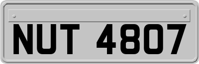 NUT4807