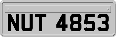 NUT4853