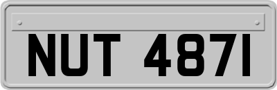 NUT4871
