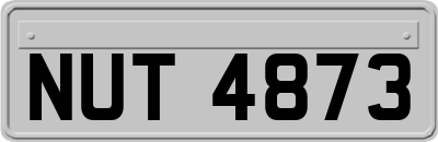 NUT4873