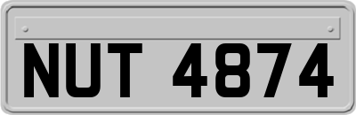 NUT4874