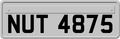 NUT4875