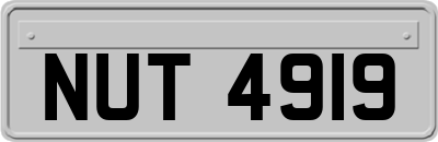 NUT4919