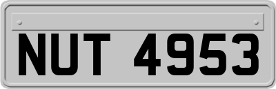 NUT4953