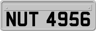 NUT4956