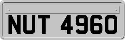 NUT4960
