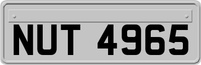 NUT4965