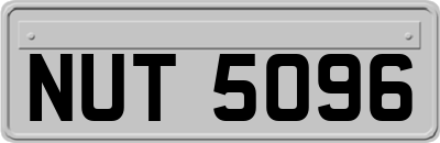 NUT5096
