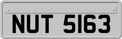 NUT5163