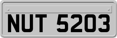 NUT5203
