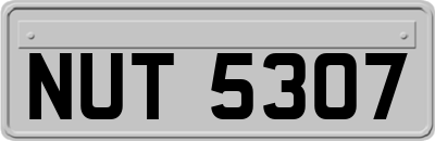NUT5307
