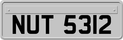 NUT5312