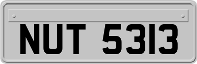 NUT5313