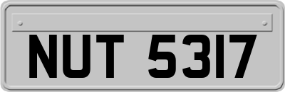 NUT5317