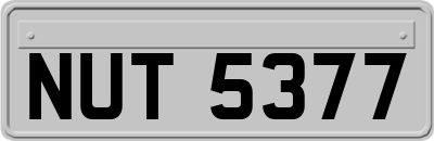 NUT5377