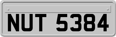 NUT5384