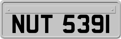 NUT5391